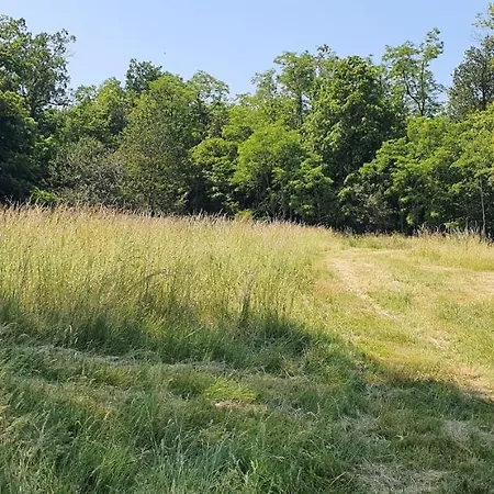 Bed & Breakfast Ancien Relais De Chasse A 35 Min Du Circuit 24h Du Mans *